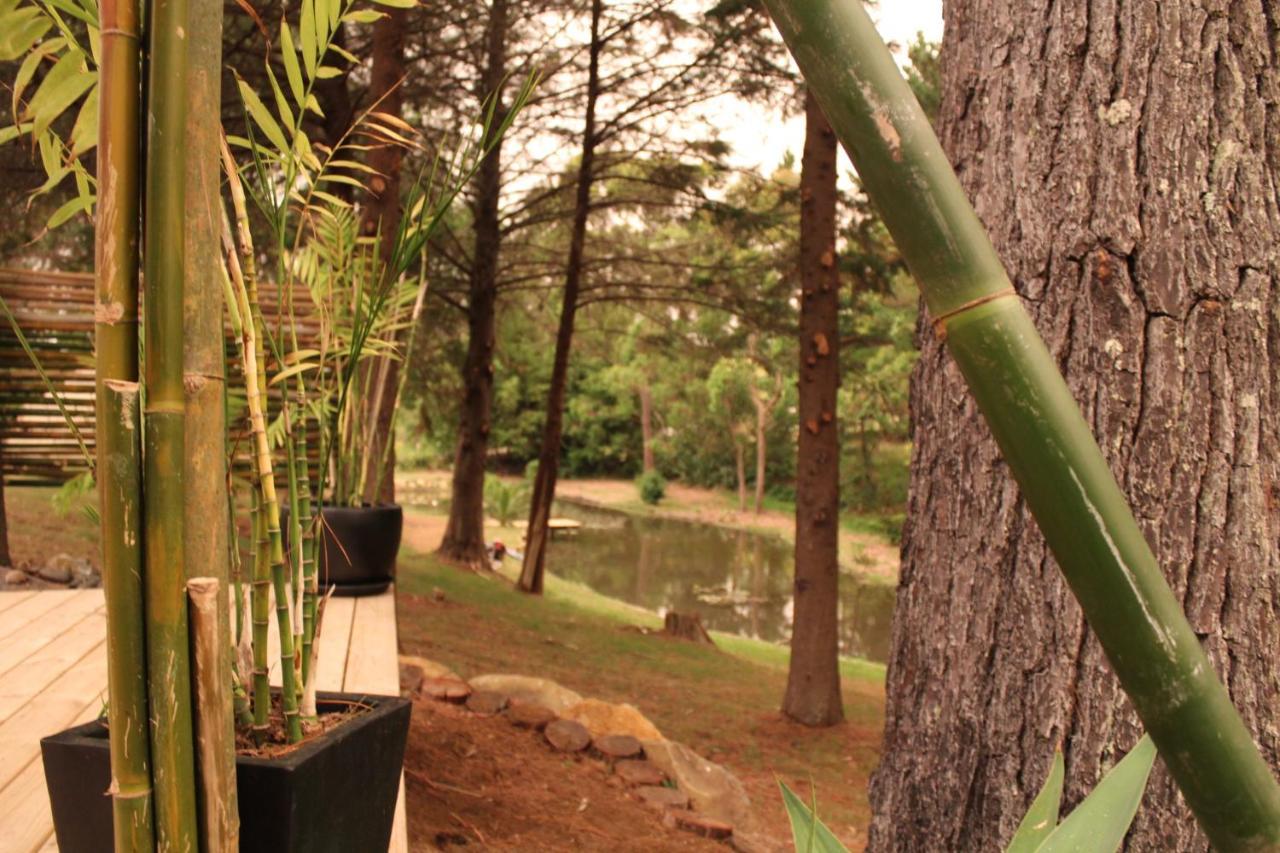 Kerikeri Glamping Hotell Exteriör bild