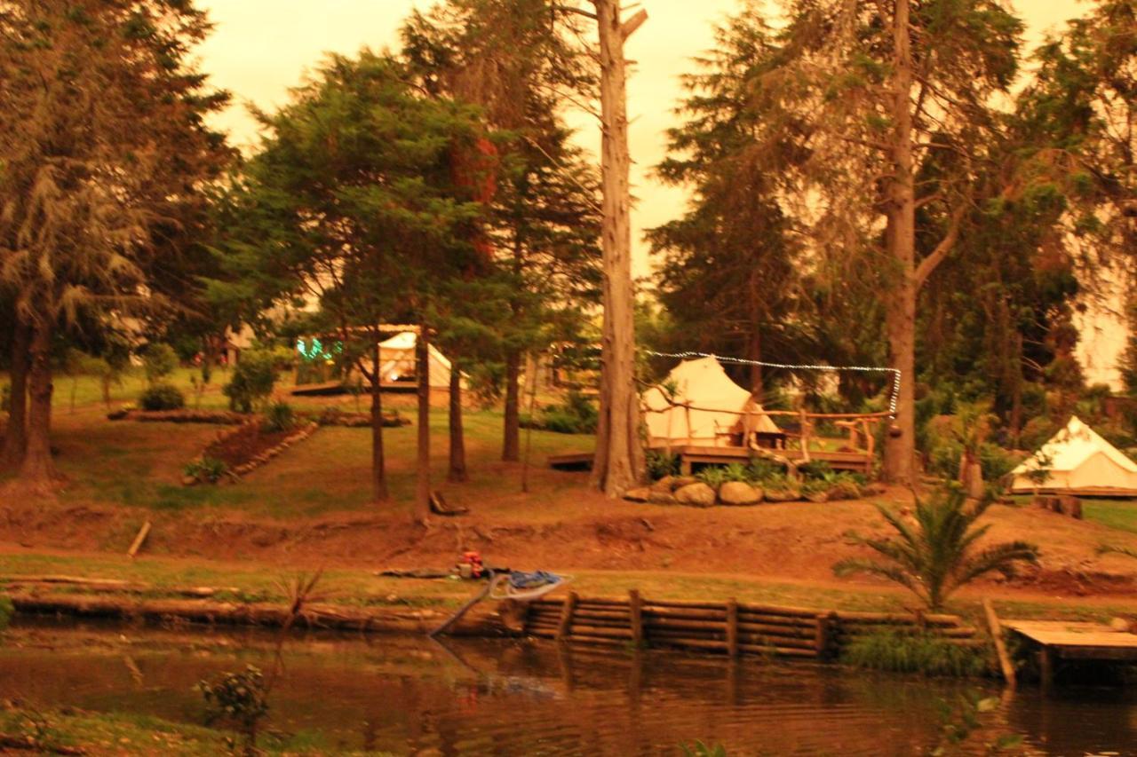 Kerikeri Glamping Hotell Exteriör bild
