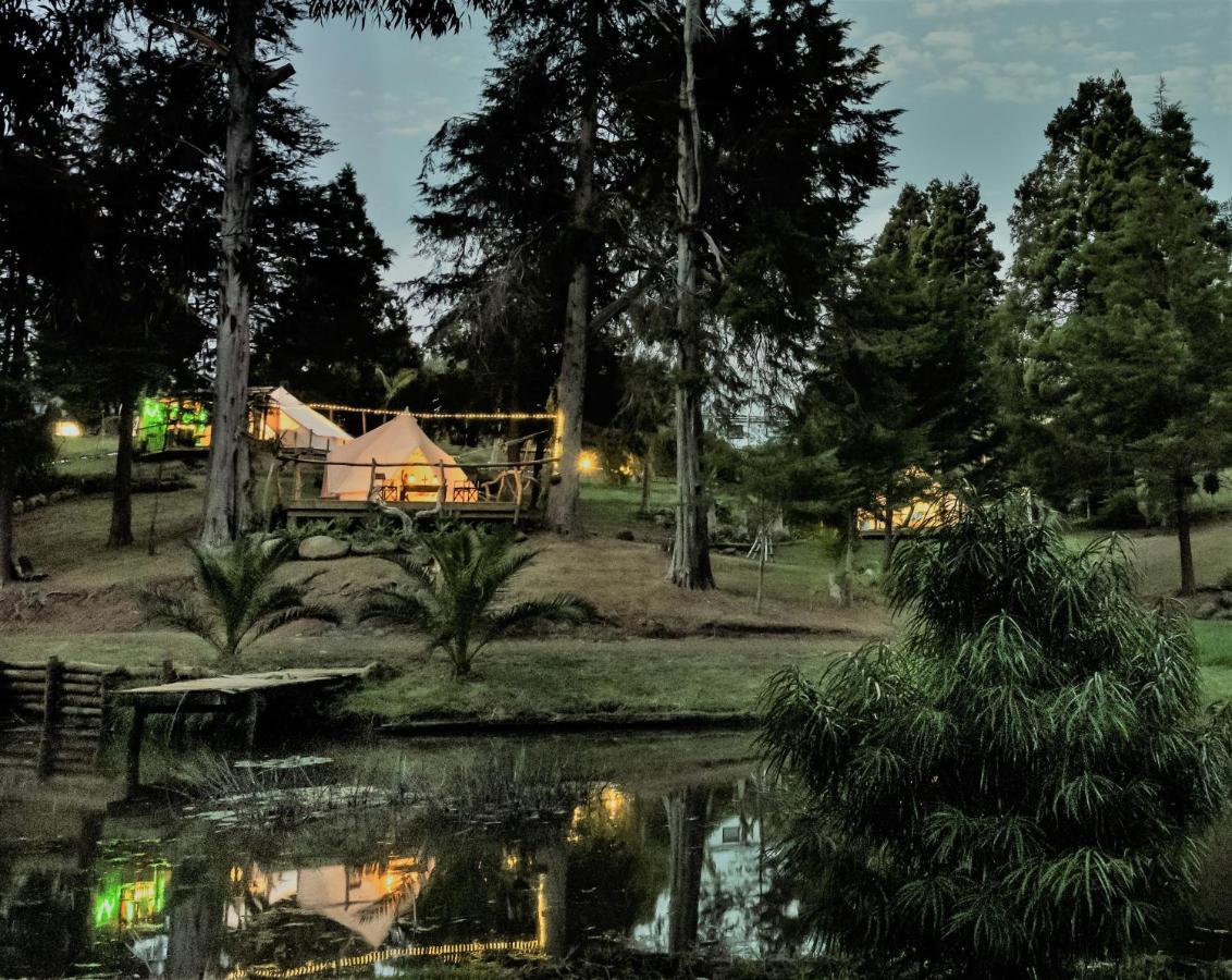 Kerikeri Glamping Hotell Exteriör bild