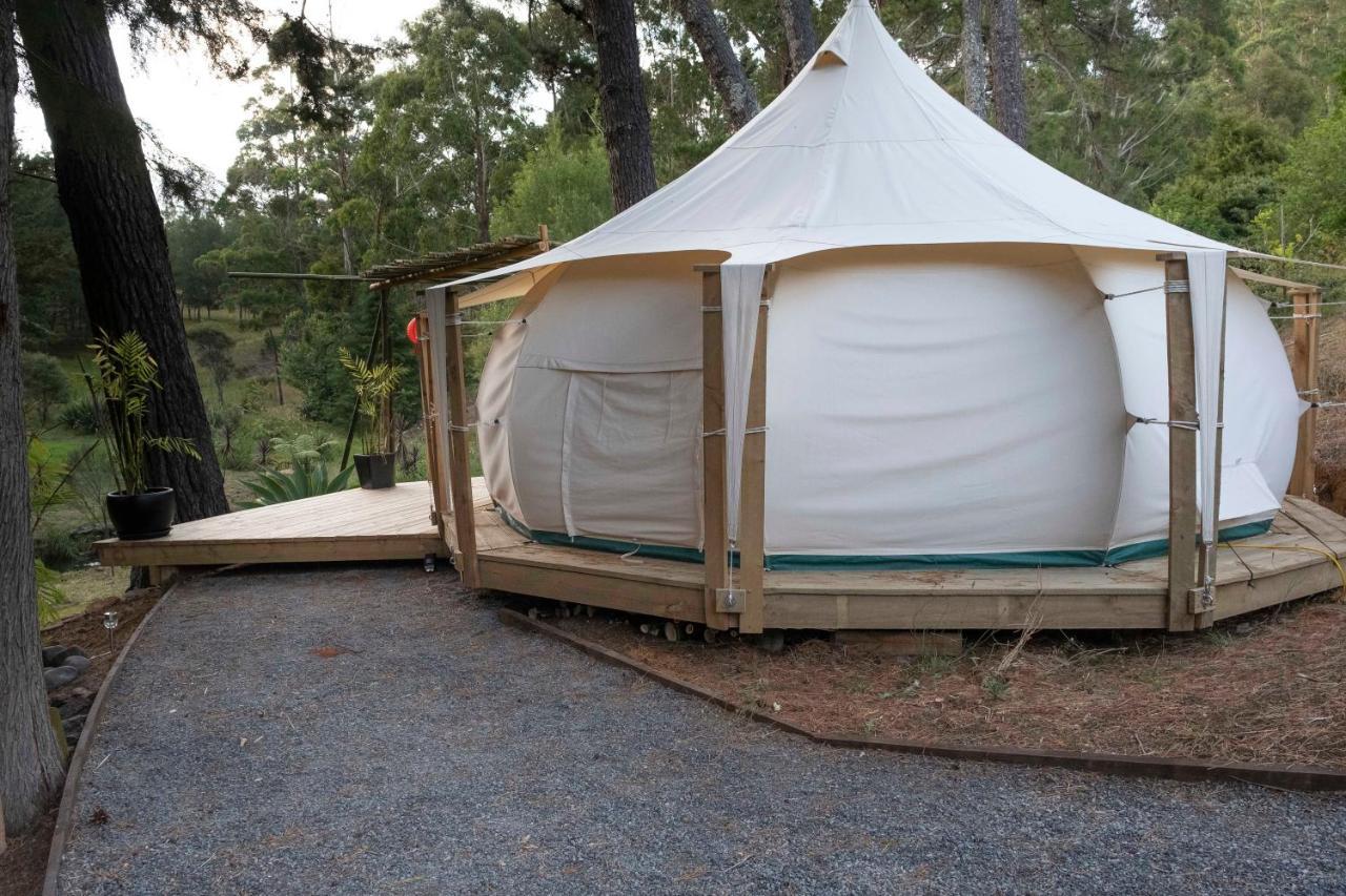 Kerikeri Glamping Hotell Exteriör bild