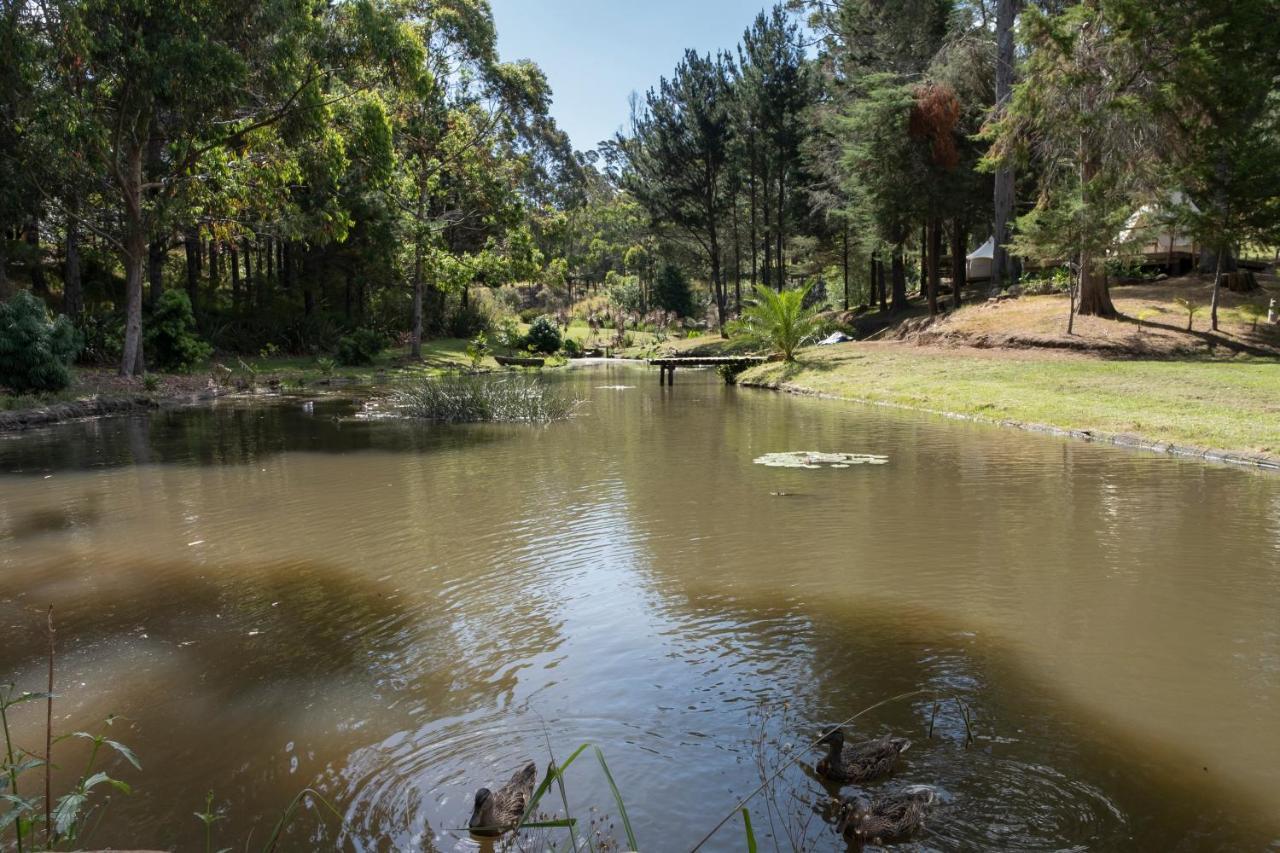 Kerikeri Glamping Hotell Exteriör bild