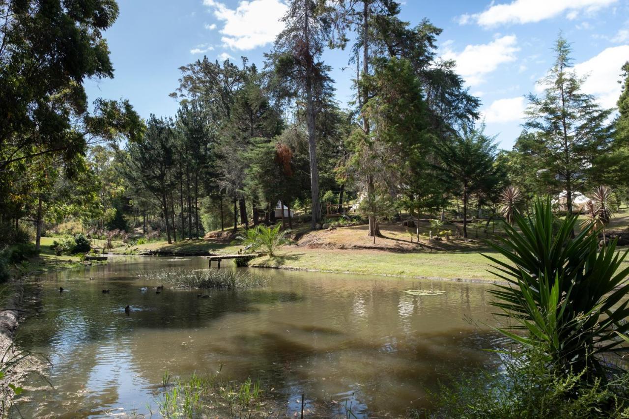 Kerikeri Glamping Hotell Exteriör bild
