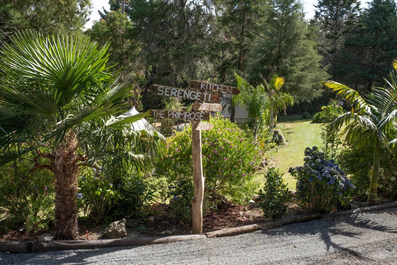 Kerikeri Glamping Hotell Exteriör bild
